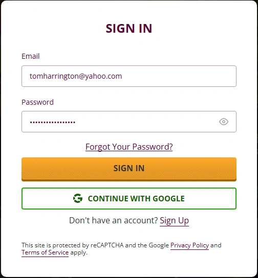 Playamo Casino Login Process